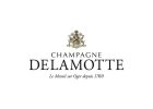 Delamotte