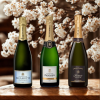 https://www.champagne-house.cz/degustacni-set-champagne-brut-3-x-0-75-l/