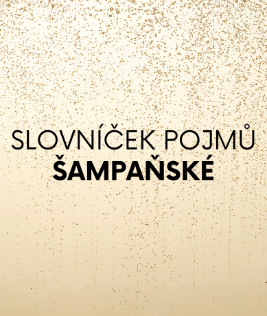 Slovníček pojmů: Šampaňské