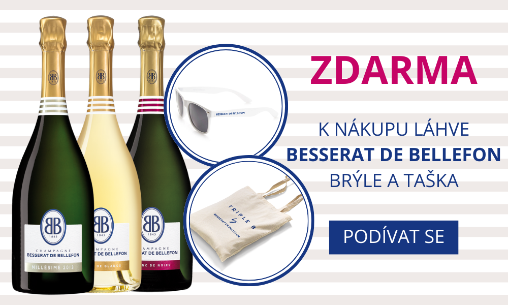 + DÁREK: Taška a Brýle