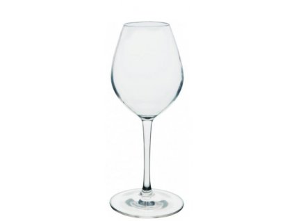 Nerozbitná sklenice na víno Clubhouse 510 ml (1ks)