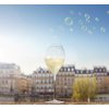 Ruinart Blanc de Blancs Jéroboam (3l) v dřevěné krabici