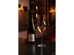 Autentista 25 09 TES 9756 websize