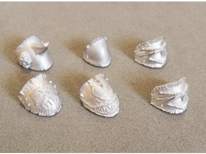 Bone shoulder plates 1