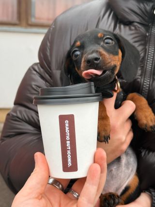 Přejeme vám do nového roku jen to nejlepší. 🪐✨ Ať je přesně takový, jaký si ho přejete! S láskou chaoticstore & Moly 🐾