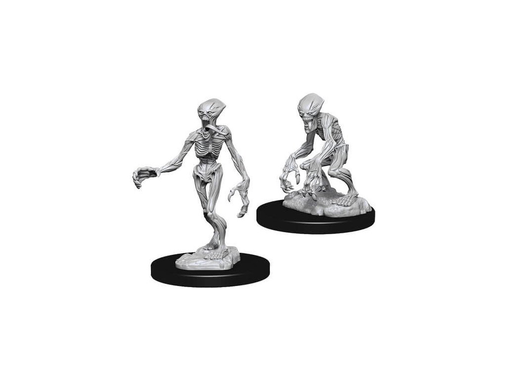 Pathfinder Battles Deep Cuts Miniatures - Doppelgangers