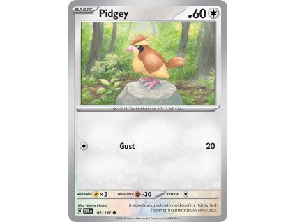 Pokémon Pidgey (OBF 162)