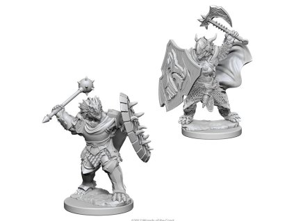 D&D Nolzur's Marvelous Miniatures - Dragonborn Male Paladin