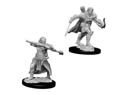 Pathfinder Battles Deep Cuts Miniatures - Half-Elf Male Ranger