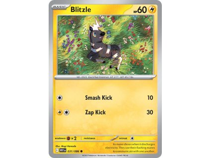 Blitzle (WHT 031)