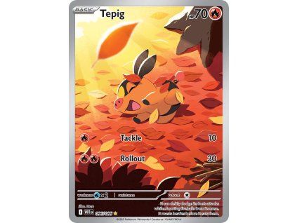 Tepig (WHT 096)