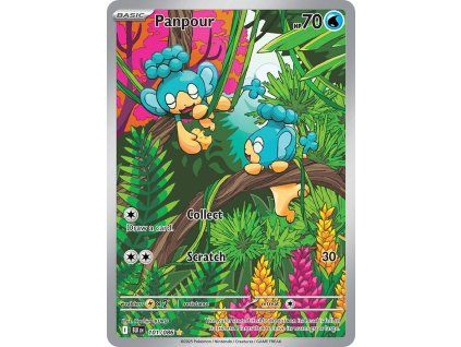 Pokémon Panpour (BLK 101)