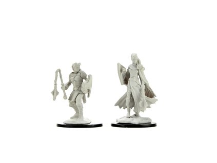 D&D Nolzur's Marvelous Miniatures - Kalashtar Female Cleric