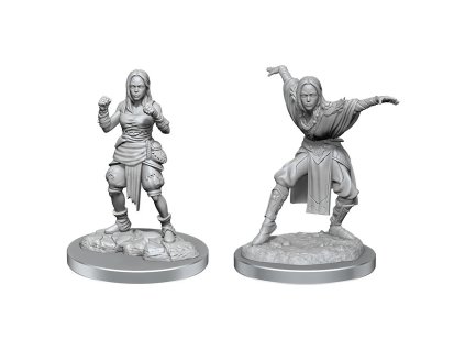 Pathfinder Deep Cuts Miniatures: Half-Elf Female Monk