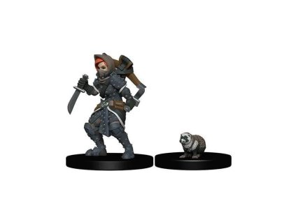 WizKids Painted Miniatures: Girl Rogue & Badger