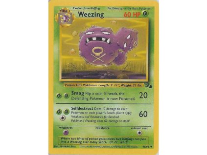 Pokémon Weezing (FO 45)