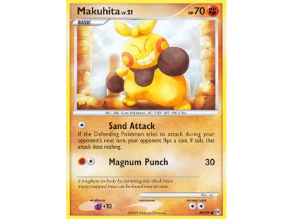 Pokémon Makuhita Lv.21 (AR 68)