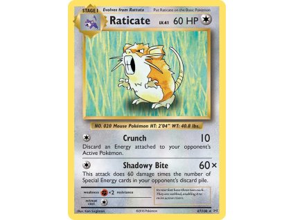 Pokémon Raticate (EVO 67)