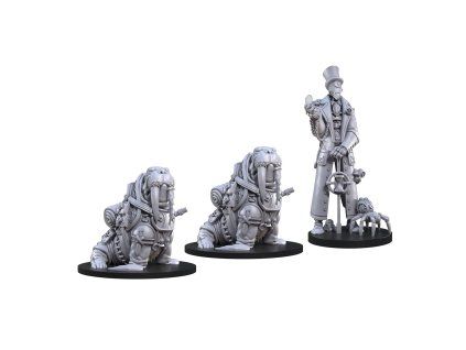 Animal Adventures: Time in a Bottle