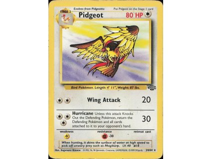 Pokémon Pidgeot (JU 24)