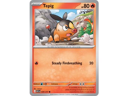 Tepig (ASC 029)