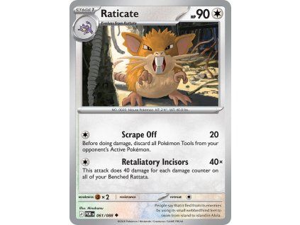 Pokémon Raticate (POR 061)