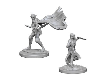 Pathfinder Deep Cuts Unpainted Miniatures Elf Female Rogue