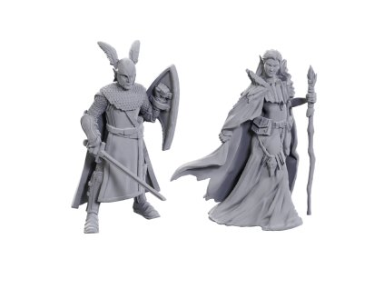 D&D Nolzur's Marvelous Miniatures Limited Edition 50th Anniversary — Elves