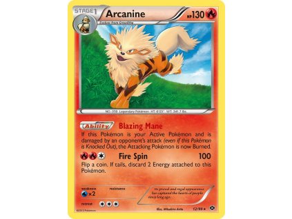 Pokémon Arcanine NXD 12