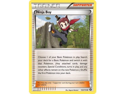 Pokémon Ninja Boy (STS 103)