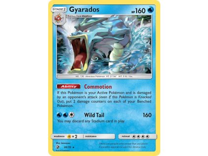 Pokémon Gyarados (DRM 20)
