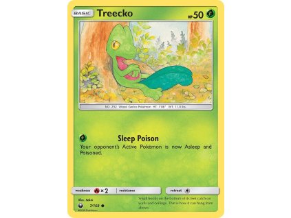 Pokémon Treecko (CES 7)
