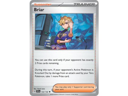 Pokémon Briar (SCR 132)
