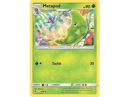 Pokémon Metapod (HIF 2)
