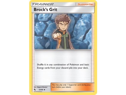 Pokémon Brock's Grit (HIF 53)