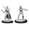 D&D Nolzur's Marvelous Miniatures - Shifter Female Rogue