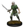 Pathfinder Battles Deep Cuts Miniatures - Elf Male Fighter 1. nabarvená