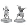 Pathfinder Deep Cuts Miniatures: Half-Elf Female Monk