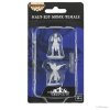 Pathfinder Deep Cuts Miniatures: Half-Elf Female Monk baleni