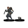 WizKids Painted Miniatures: Girl Rogue & Badger