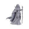 D&D Nolzur's Marvelous Miniatures Limited Edition 50th Anniversary — Elves female