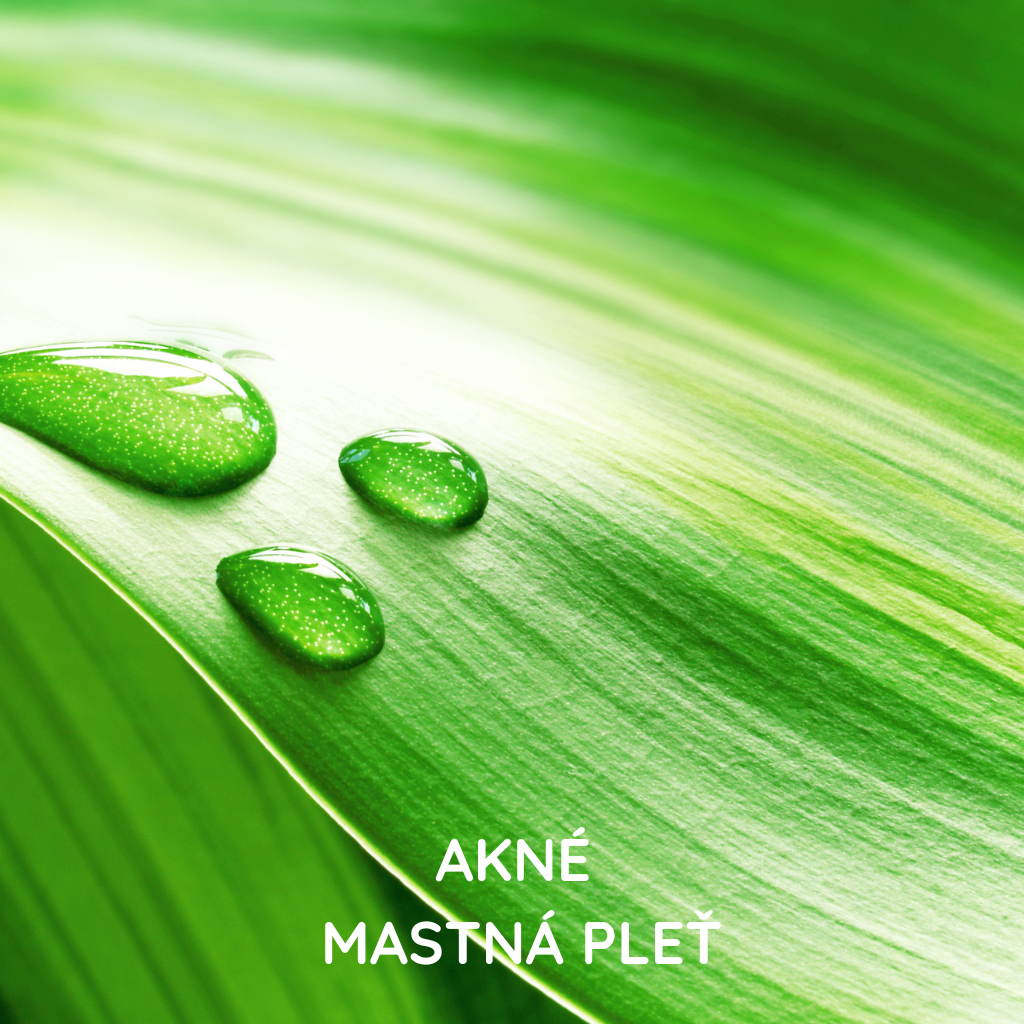 Profesionální ošetření mastné a aknózní pleti