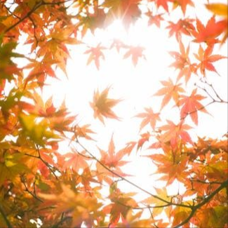 Ošetření pro vyživení pleti – v podzimních dnech