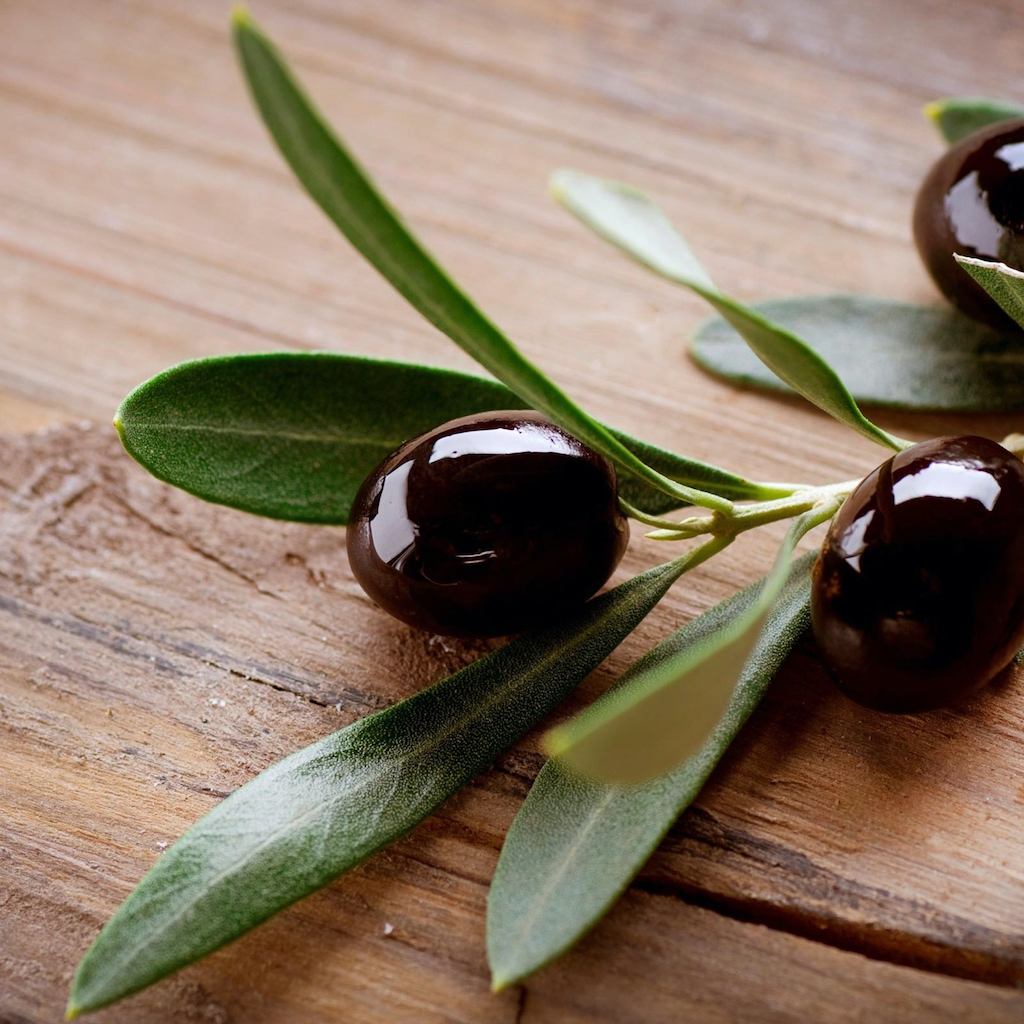 kosmetika pro kosmetické salony