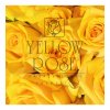 INST Yellow Rose darkovy poukaz 1080x1080px 1