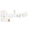 startovaci set collagen yellow rose charde