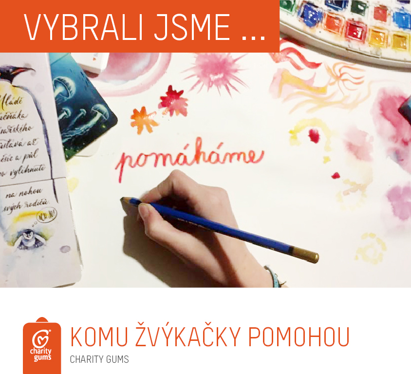 VYBRALI JSME PROJEKTY 