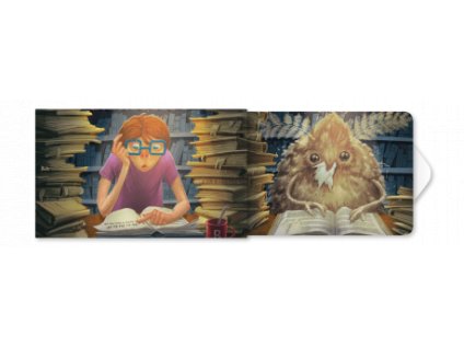 Žvýkačky Knihomol