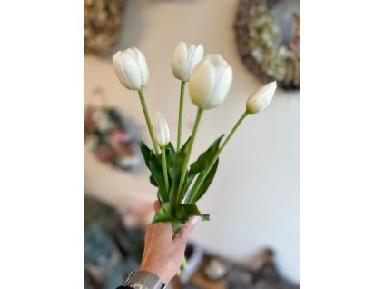 3d9cd312 bbf7 4b73 88cf 37a8e1152eda