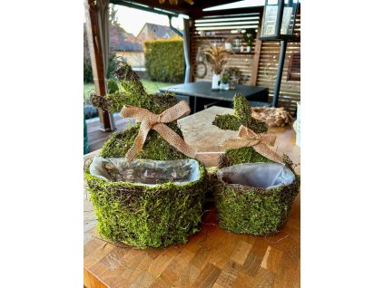 54c0a435 8ff1 4d32 9c76 704d972071e8